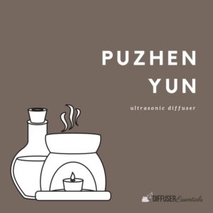 Puzhen Yun Diffuser