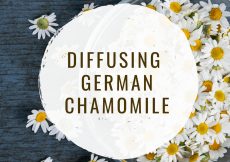 Diffusing German Chamomile, text overlay over a bowl of chamomile flower heads