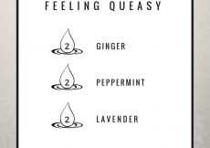 Nausea diffuser blend with ginger, peppermint and lavender on a while and silver background