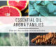 Essential oil aroma families withcollage of grapefruit, eucalyptus, rosemary, cinnamon